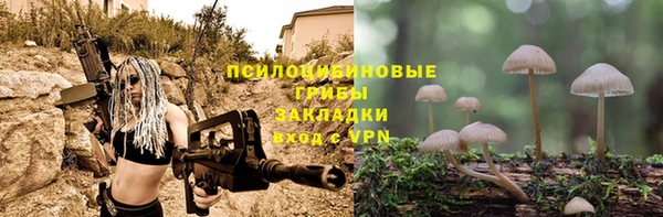 MESCALINE Новодвинск